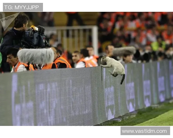 足球明星如何在猫咪球赛中展现技巧与魅力的独特玩法解析